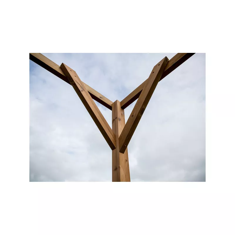 PERGOLA Bois Traité 8.88m2