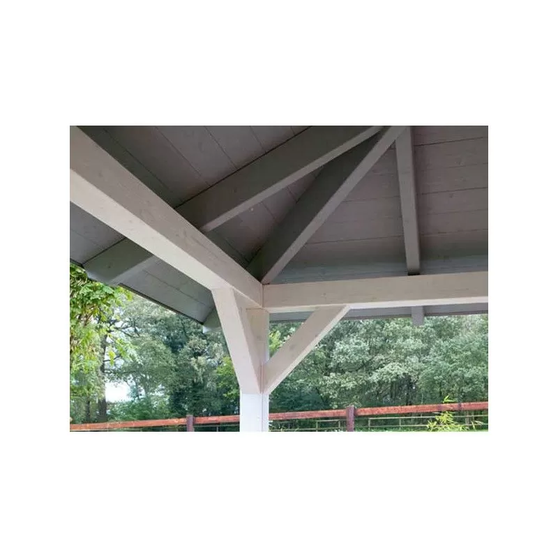 PERGOLA BOIS PREMIUM 14 M2